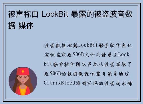 被声称由 LockBit 暴露的被盗波音数据 媒体